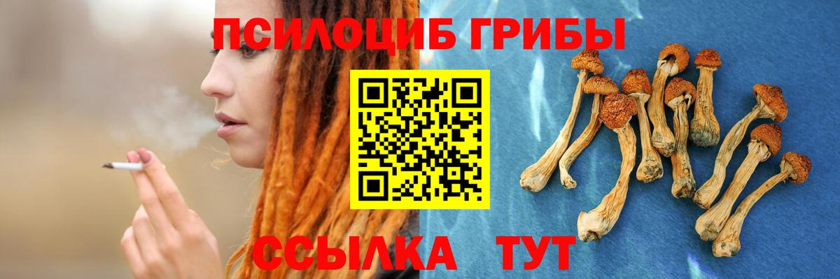 Галлюциногенные грибы Psilocybe  Вход с VPN  Рассказово  купить наркотики цена  Псилоцибиновые грибы ЛСД 